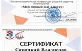 Сертификат 73 НПК БГТУ Сироцкий Савук